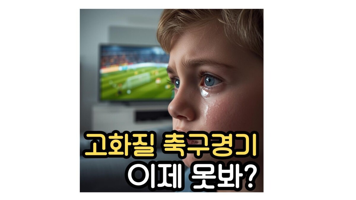 야속한 쿠팡 플레이 스포츠 패스 가격 해외거주자